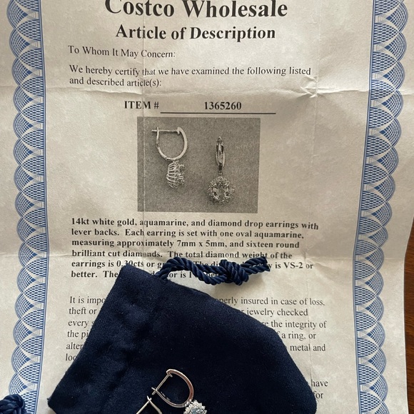 Aquamarine Diamond Earrings - Picture 1 of 5